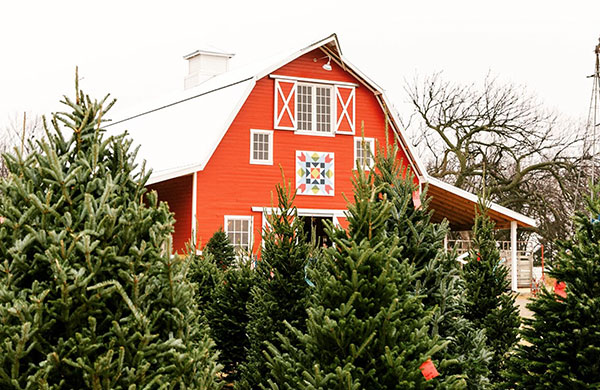 Red Bird Farm enid at christmas time