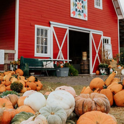 Fall at red bird farm in enid ok