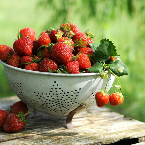 Strawberries