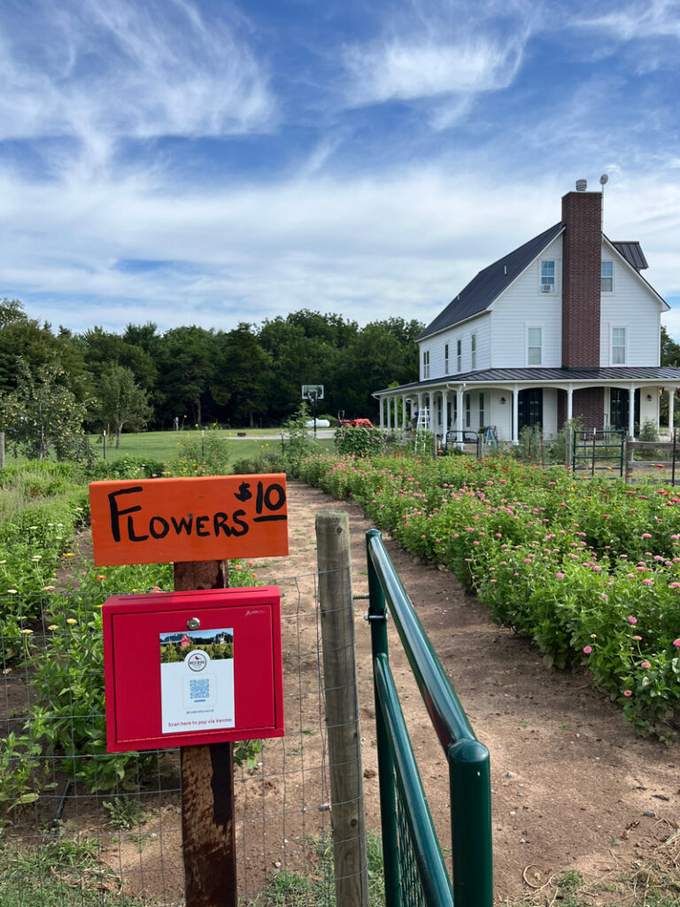 u pick flowers at red bird farm