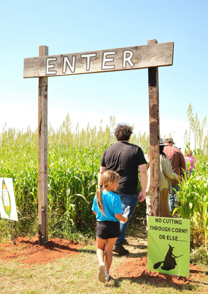 Fall Maze at Red Bird Farm