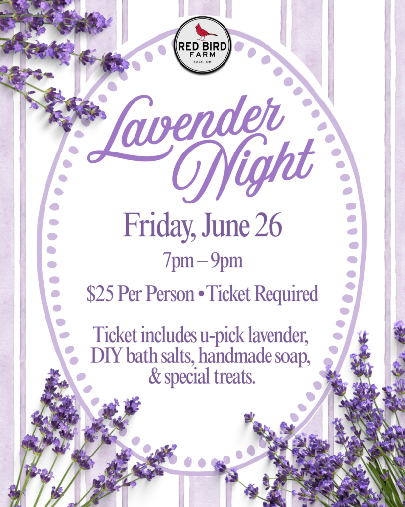 Lavender Night